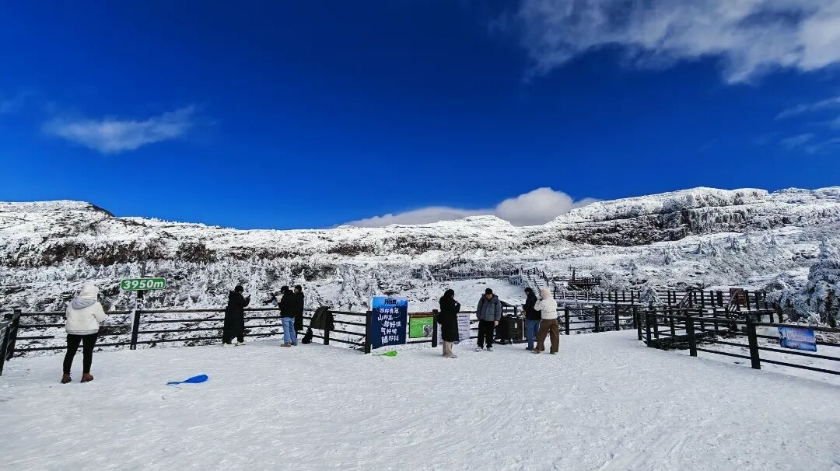 微信图片_2026-01-04_105656_833