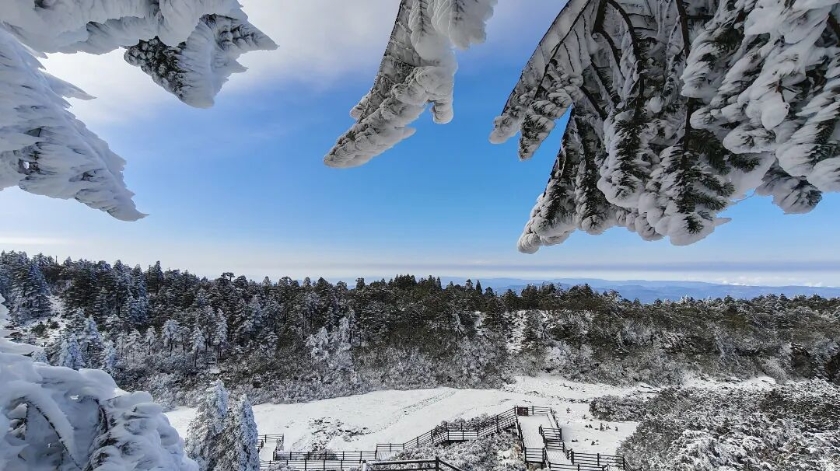 微信图片_2026-01-04_105952_879