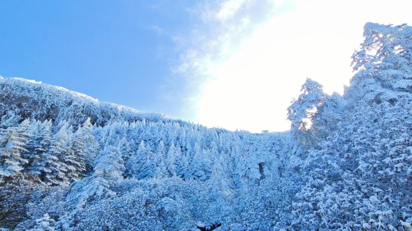 微信图片_2026-01-04_105955_982