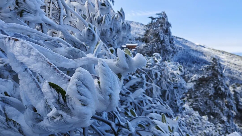 微信图片_2026-01-04_110000_430