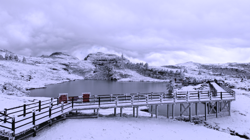 微信图片_2026-01-04_110010_766