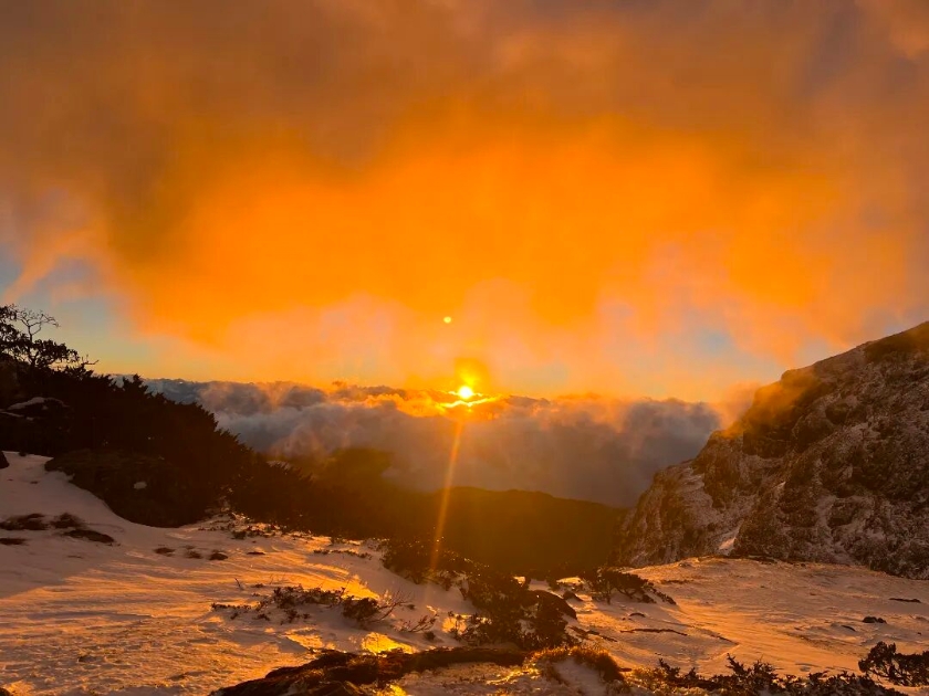 微信图片_2025-12-19_144555_701