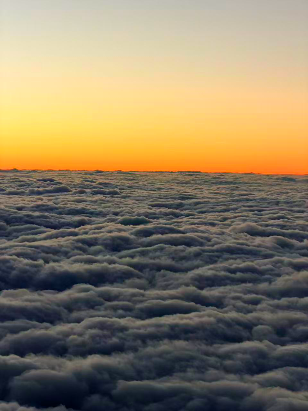 微信图片_2025-12-19_144616_725