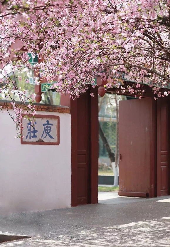 微信图片_2026-03-10_160232_406