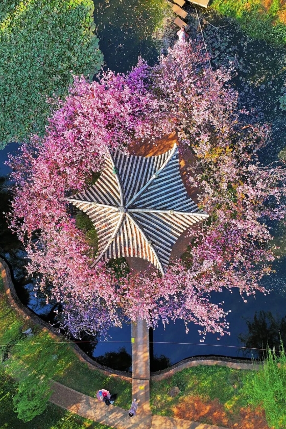 微信图片_2026-03-10_160235_686