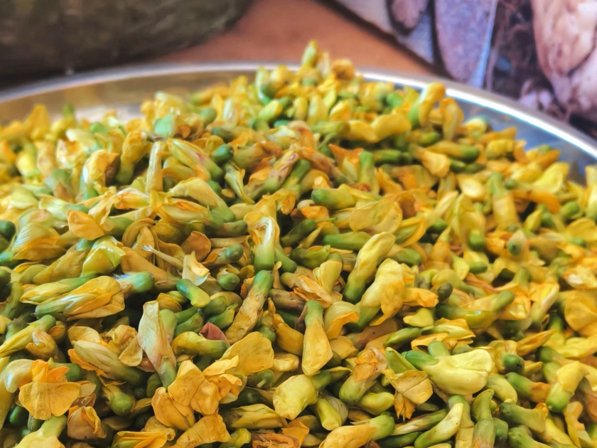 1d245acc-372c-4709-81e6-b5a6afb87e8a