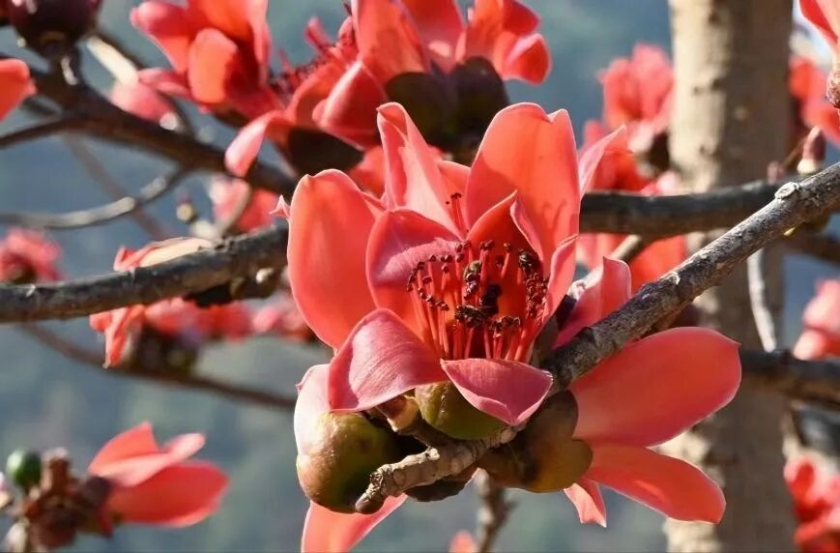 5ed3b8a8-5874-47ec-8a0d-30ce5978d6d7