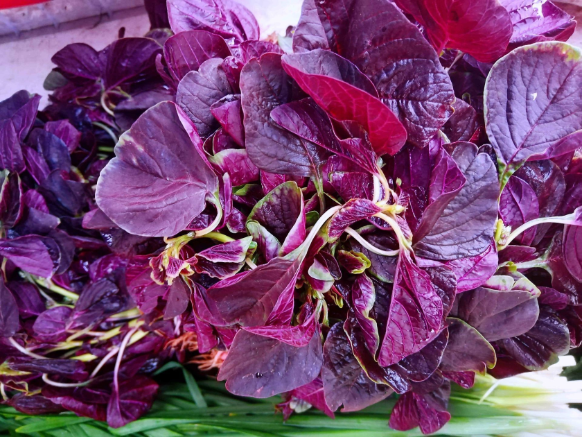 248ca359-9971-4a19-9dd4-f30d85c6b7d7