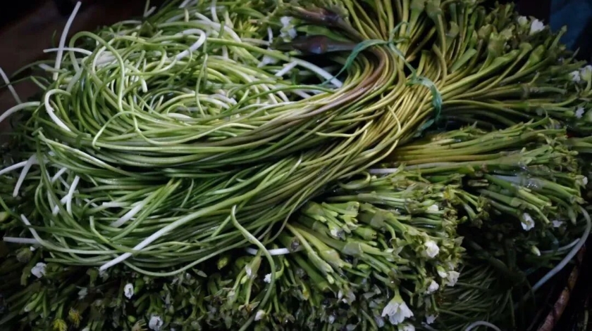 359f1aea-4c5f-49aa-a83f-73e31022cbc6