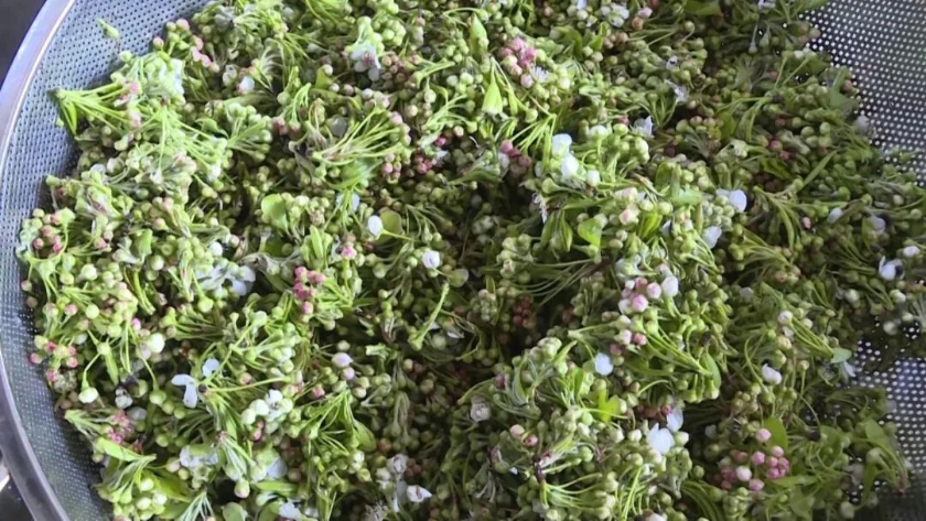 cd39e085-c4dc-41c1-b1d4-ae8a602ebacb