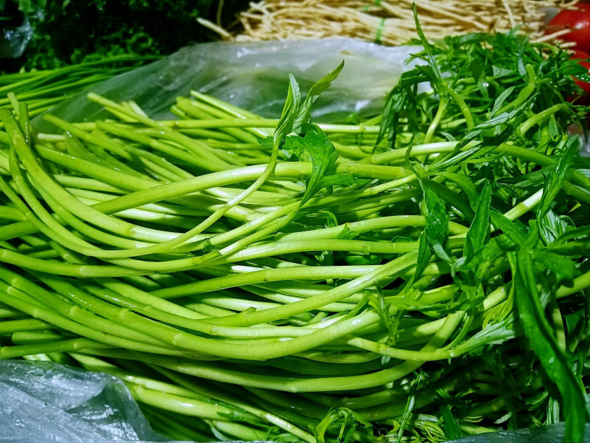 e264c317-e030-433b-aadf-57803683e6c6