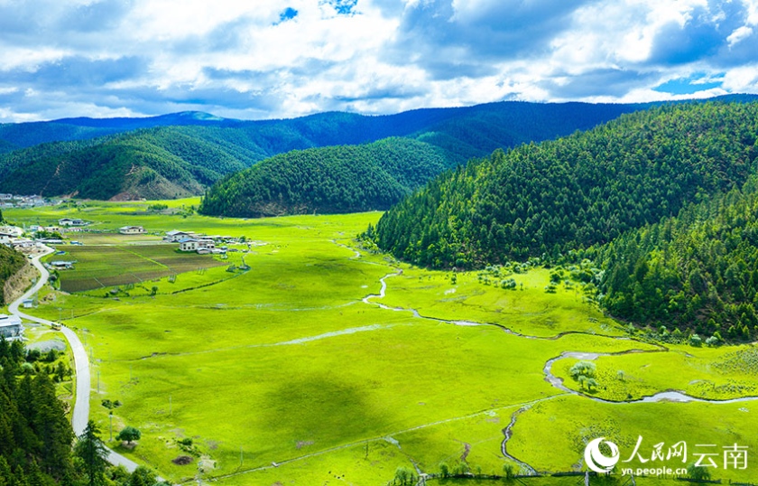 夏日普达措，风景美如画。徐俊摄